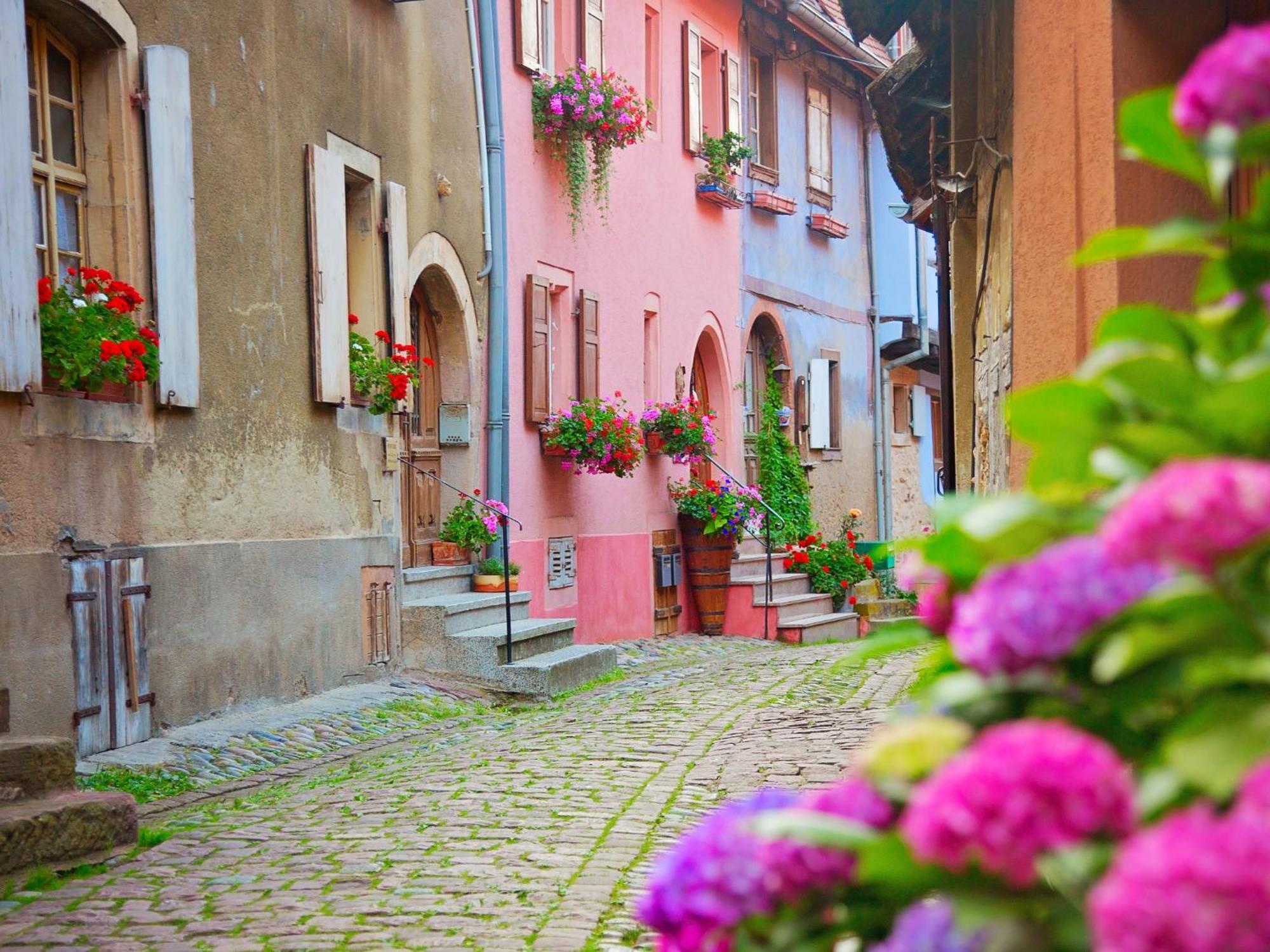 L'Atypique D'Eguisheim Apartment Exterior photo